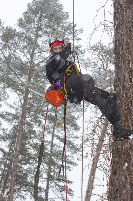 Tree Cutter Seattle